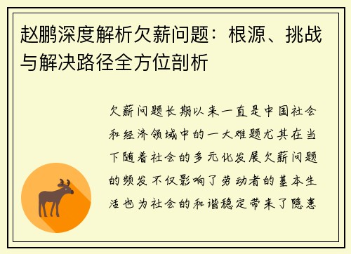 赵鹏深度解析欠薪问题：根源、挑战与解决路径全方位剖析