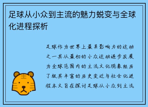 足球从小众到主流的魅力蜕变与全球化进程探析 足球从小众到主流的魅力蜕变与全球化进程探析